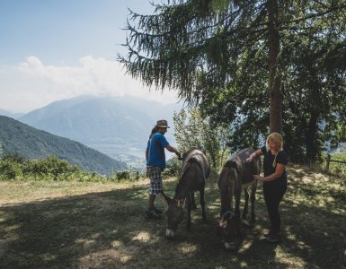 Campo Cortoi - Volunteering in Ticino, Switzerland