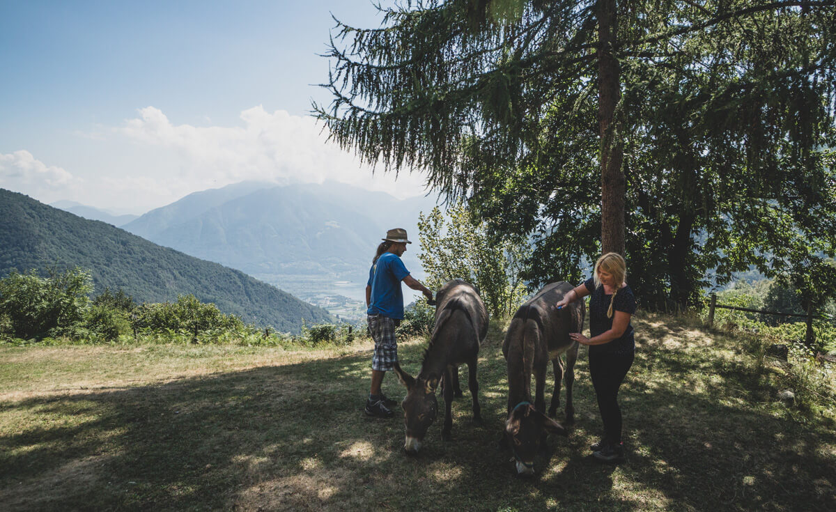 Campo Cortoi - Volunteering in Ticino, Switzerland