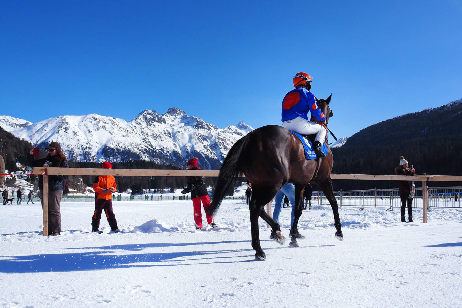 White Turf St. Moritz 2020 - Flat Race 9.2.20