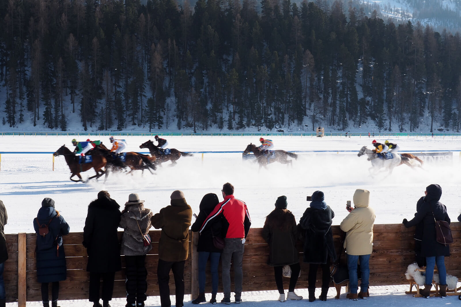 White Turf St. Moritz 2020 - Flat Race 9.2.20