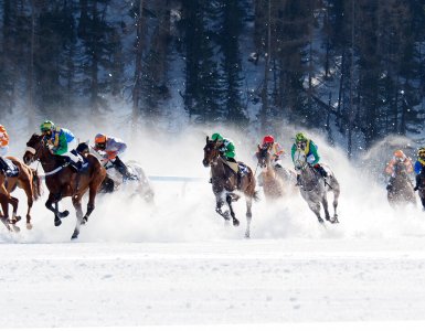 White Turf St. Moritz 2020 - Flat Race 9.2.20