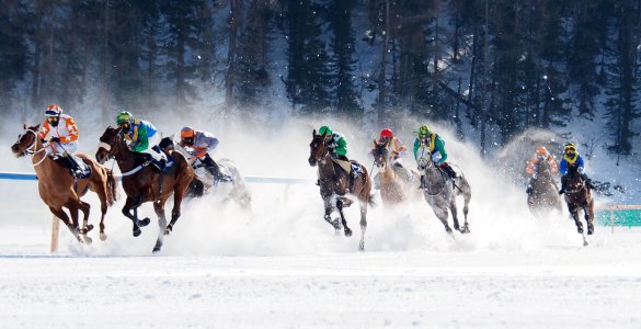 White Turf St. Moritz 2020 - Flat Race 9.2.20