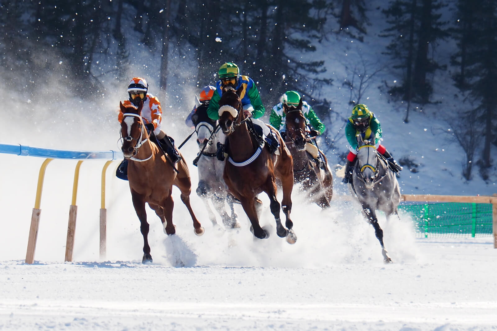 White Turf St. Moritz 2020 - Flat Race 9.2.20