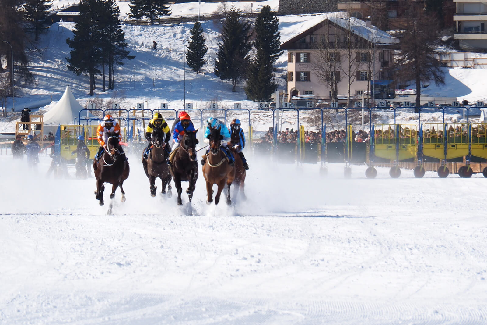 White Turf St. Moritz 2020 - Flat Race 9.2.20