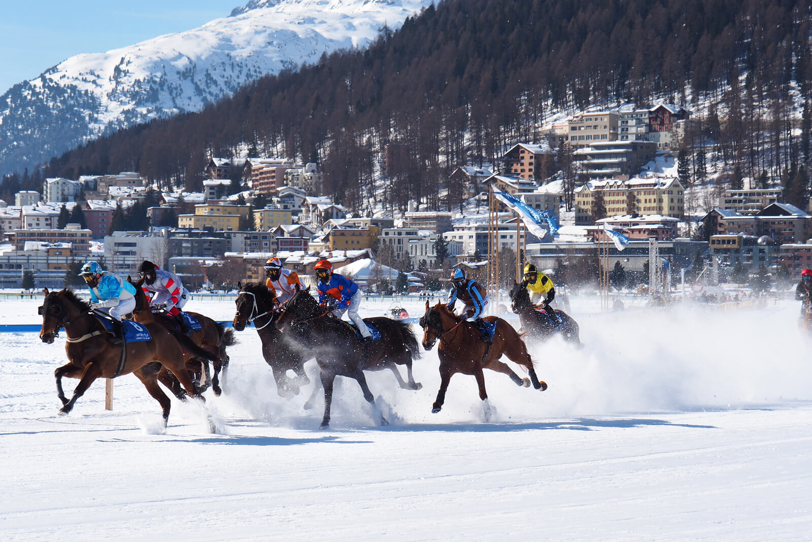 White Turf St. Moritz 2020 - Flat Race 9.2.20