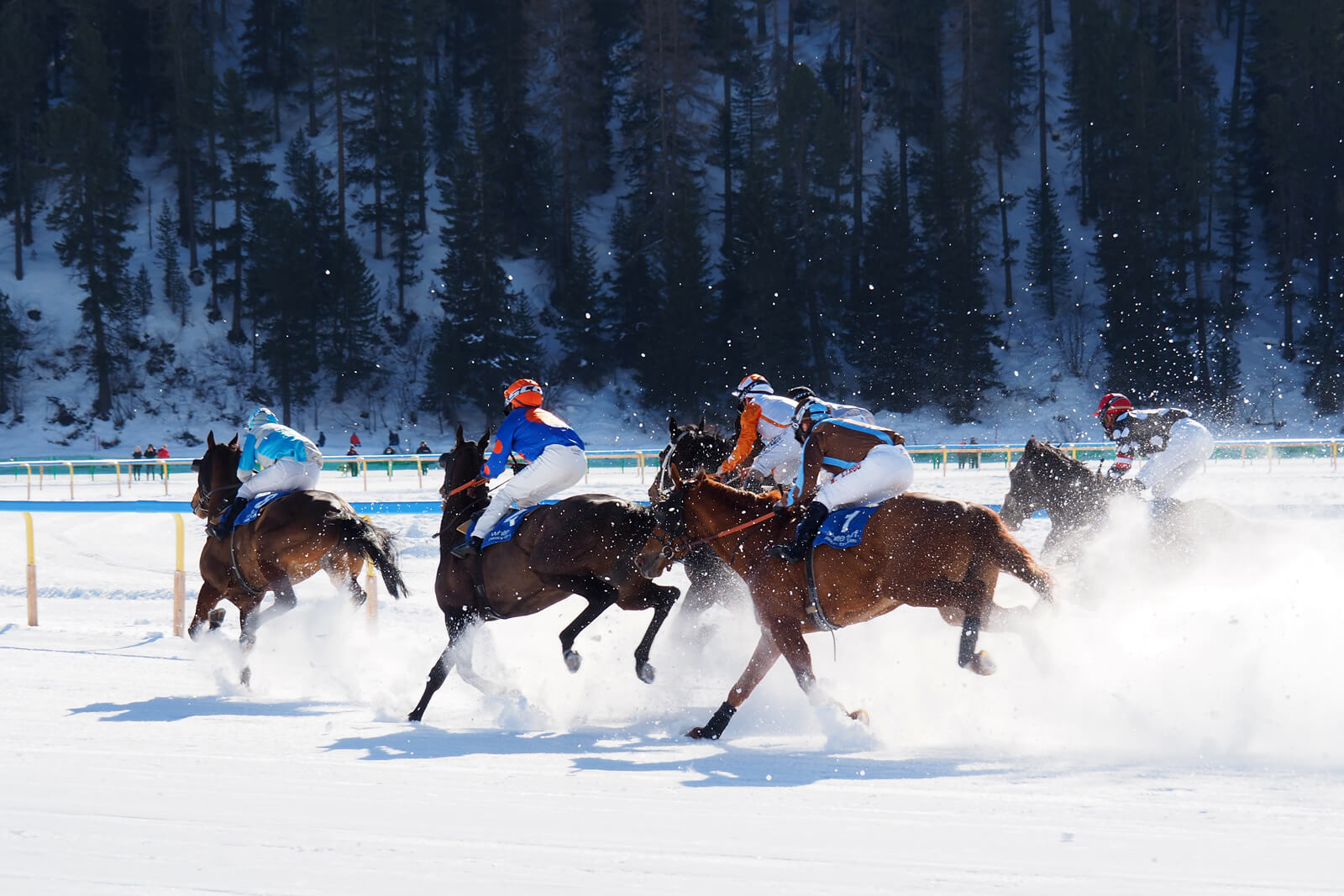 White Turf St. Moritz 2020 - Flat Race 9.2.20