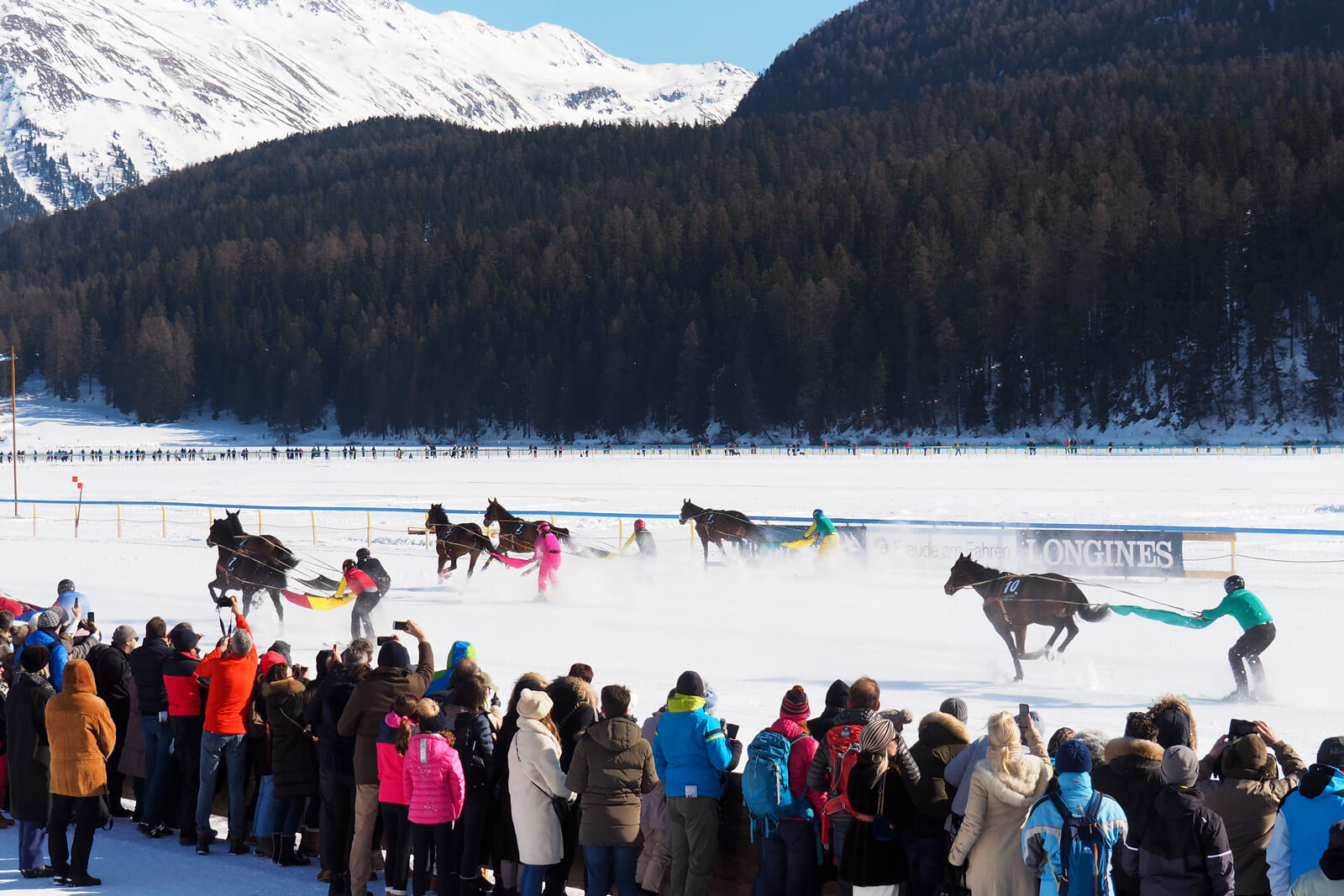 White Turf St. Moritz 2020 - Skijoring 9.2.20