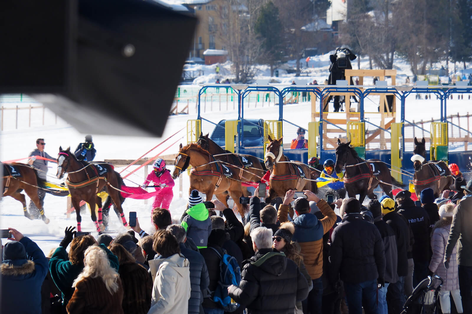 White Turf St. Moritz 2020 - Skijoring 9.2.20