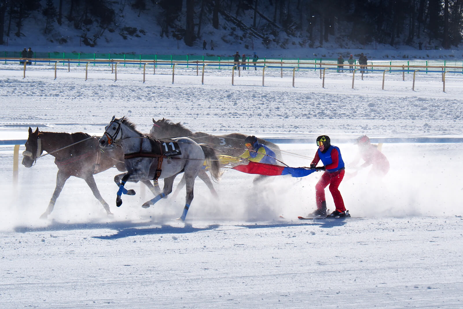 White Turf St. Moritz 2020 - Skijoring 9.2.20