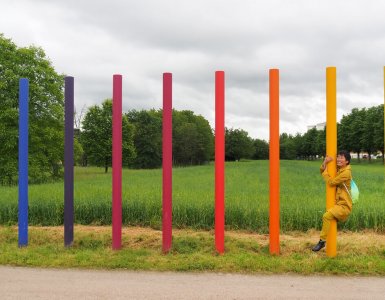 Rehberger Trail in Basel