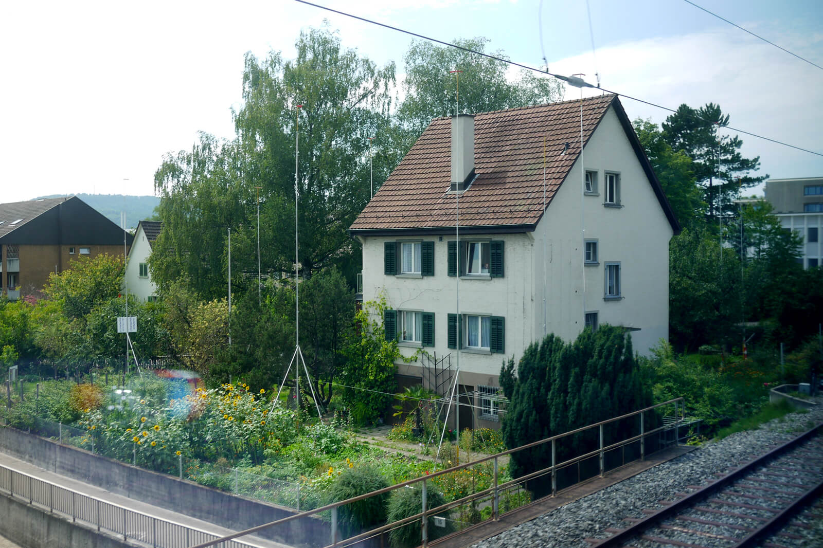 Swiss Building Poles - Baugerüst