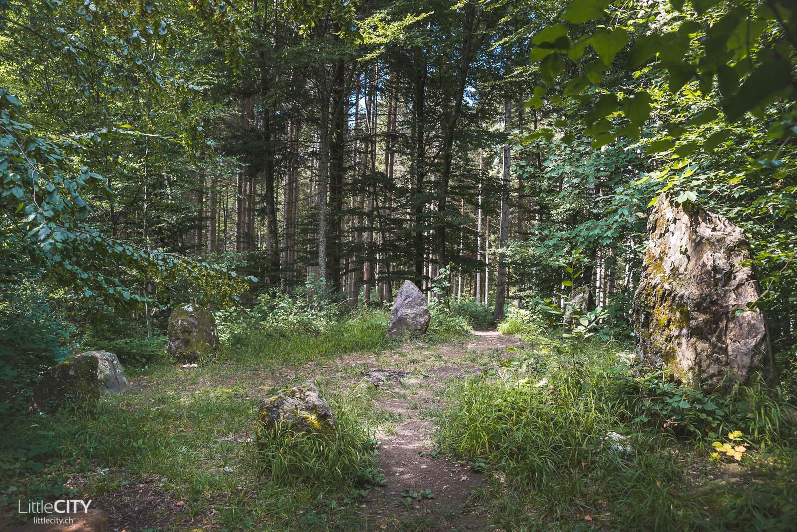 Stone Circle - Hediger Weiher