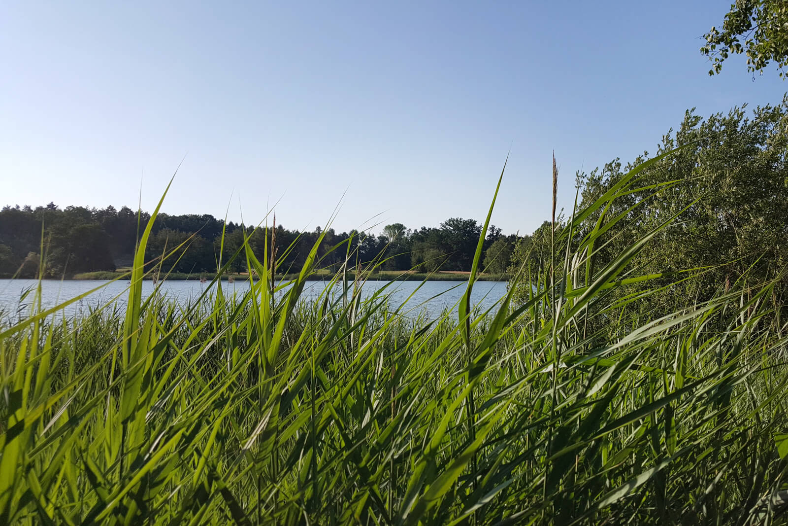 Lake Unterer Katzensee near Zurich