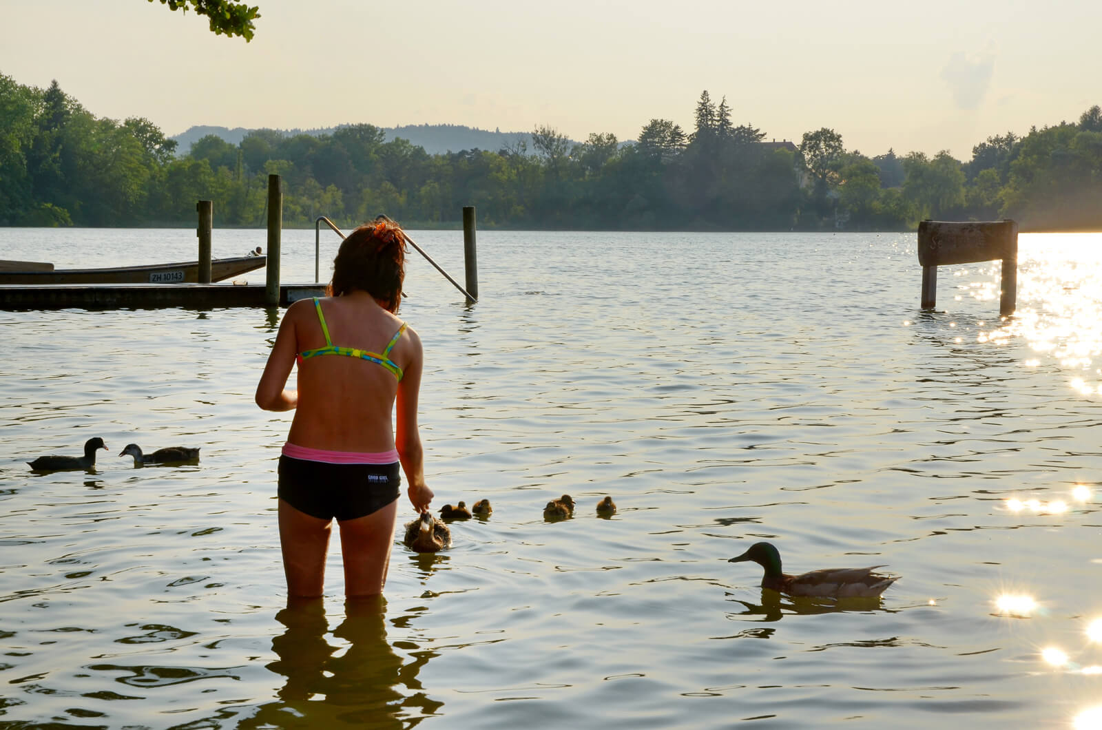 Lake Unterer Katzensee near Zurich