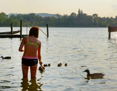 Lake Unterer Katzensee near Zurich