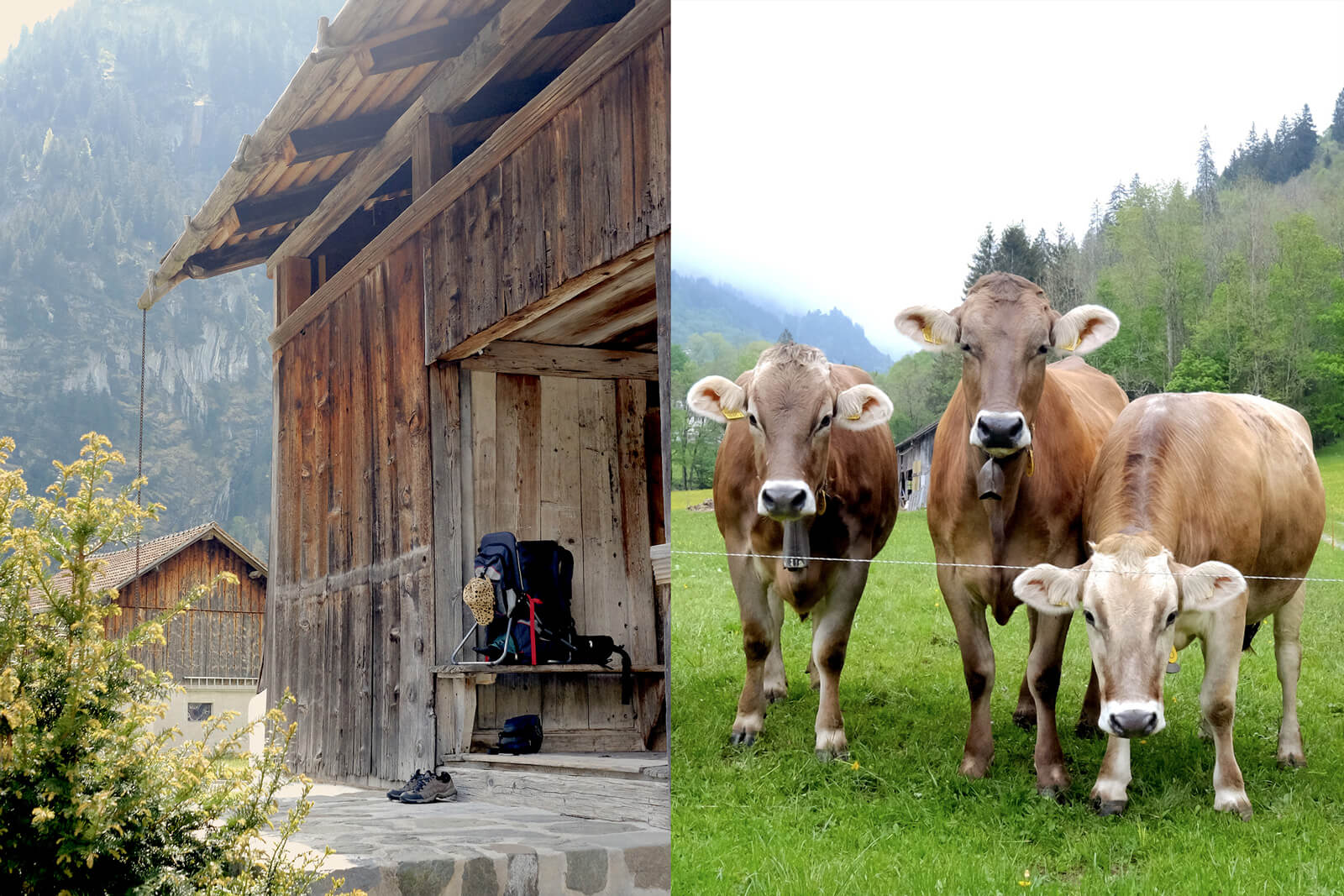 Ferien im Baudenkmal - Historic Vacation Homes in Switzerland