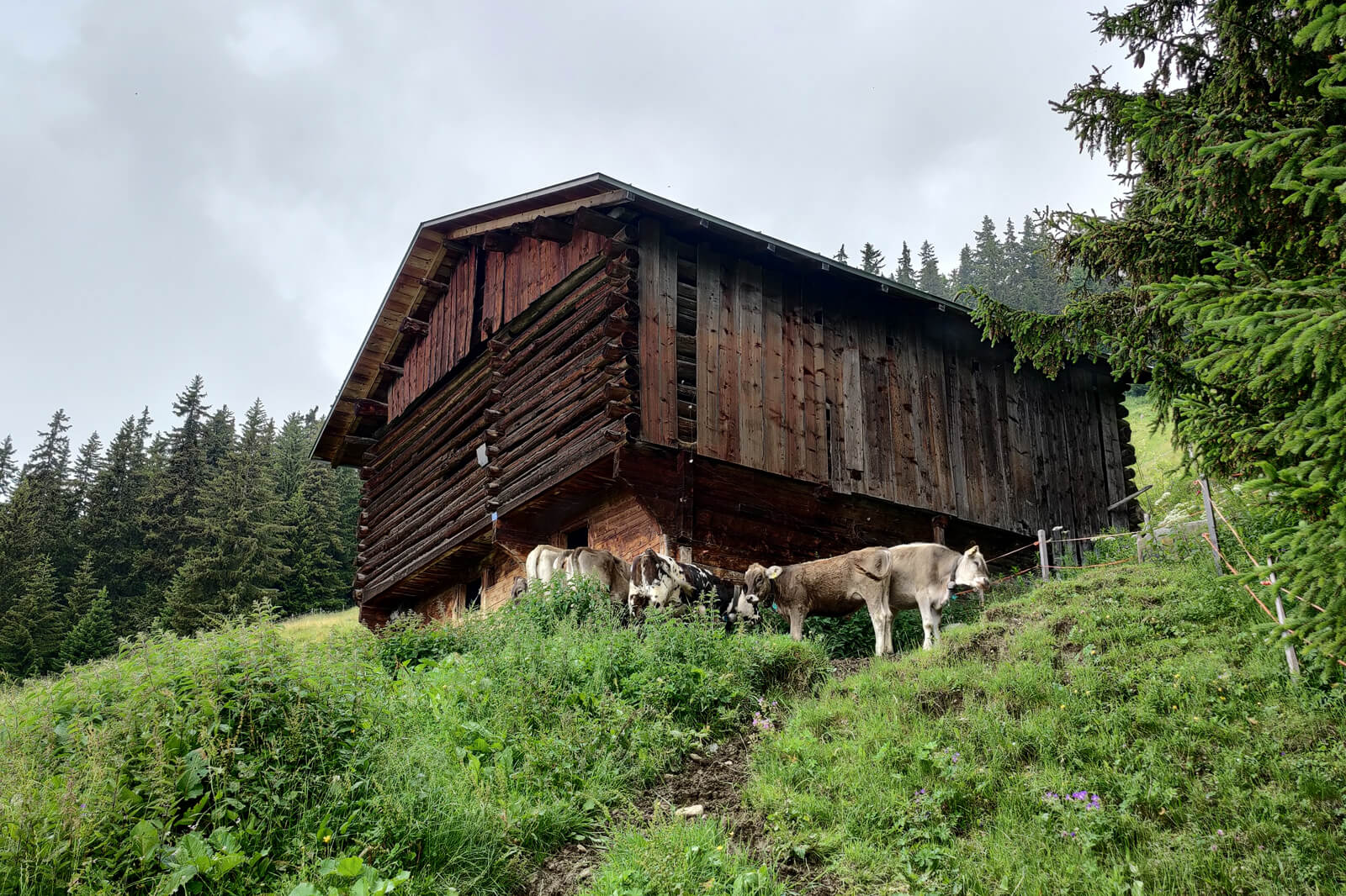 Hiking from Brigels to Val Frisal