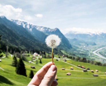 Reasons to Visit Liechtenstein