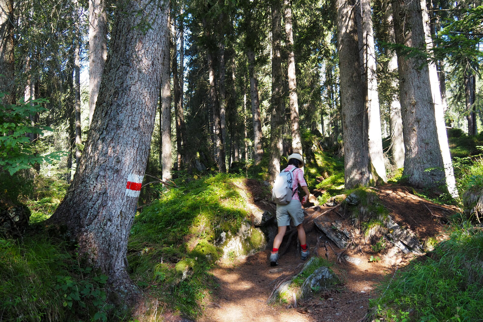 Flims Water Trail Hike