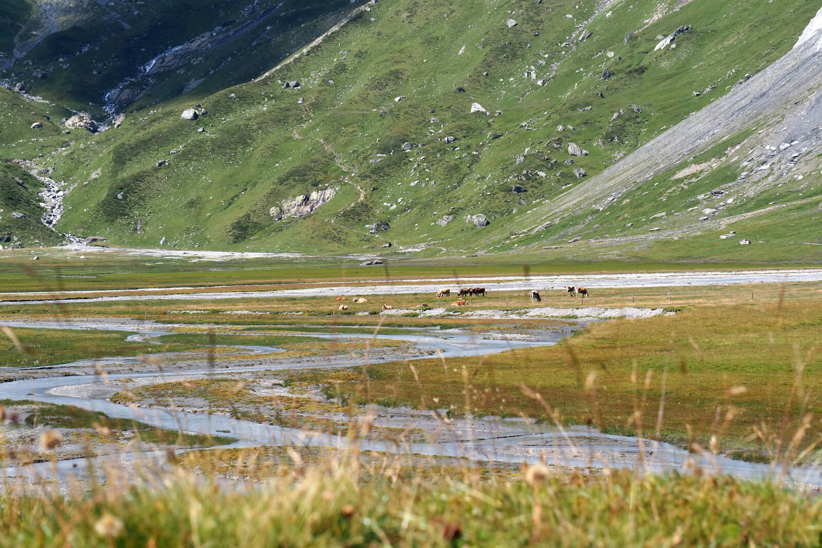 Flims Water Trail Hike