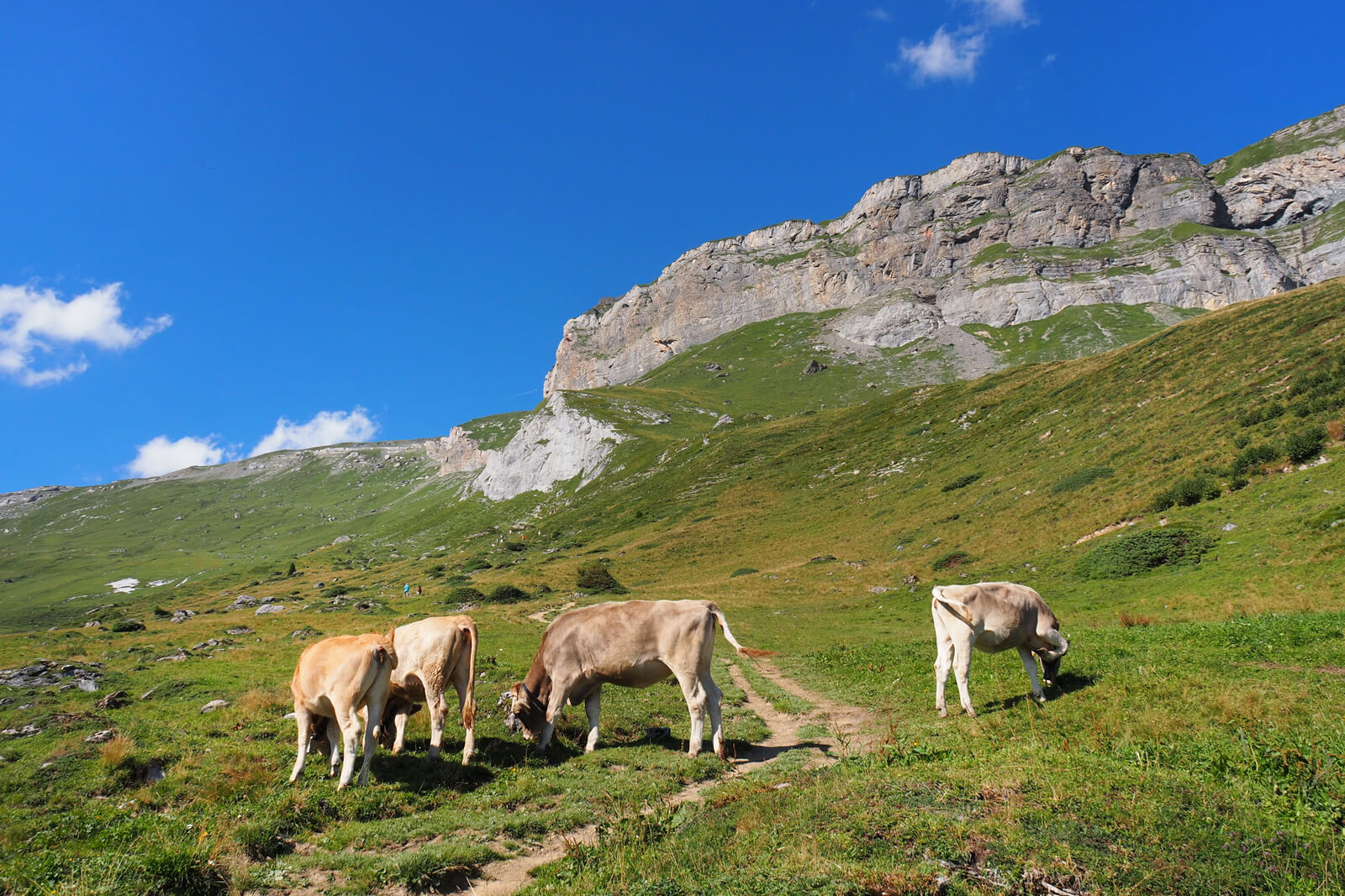 Flims Water Trail Hike