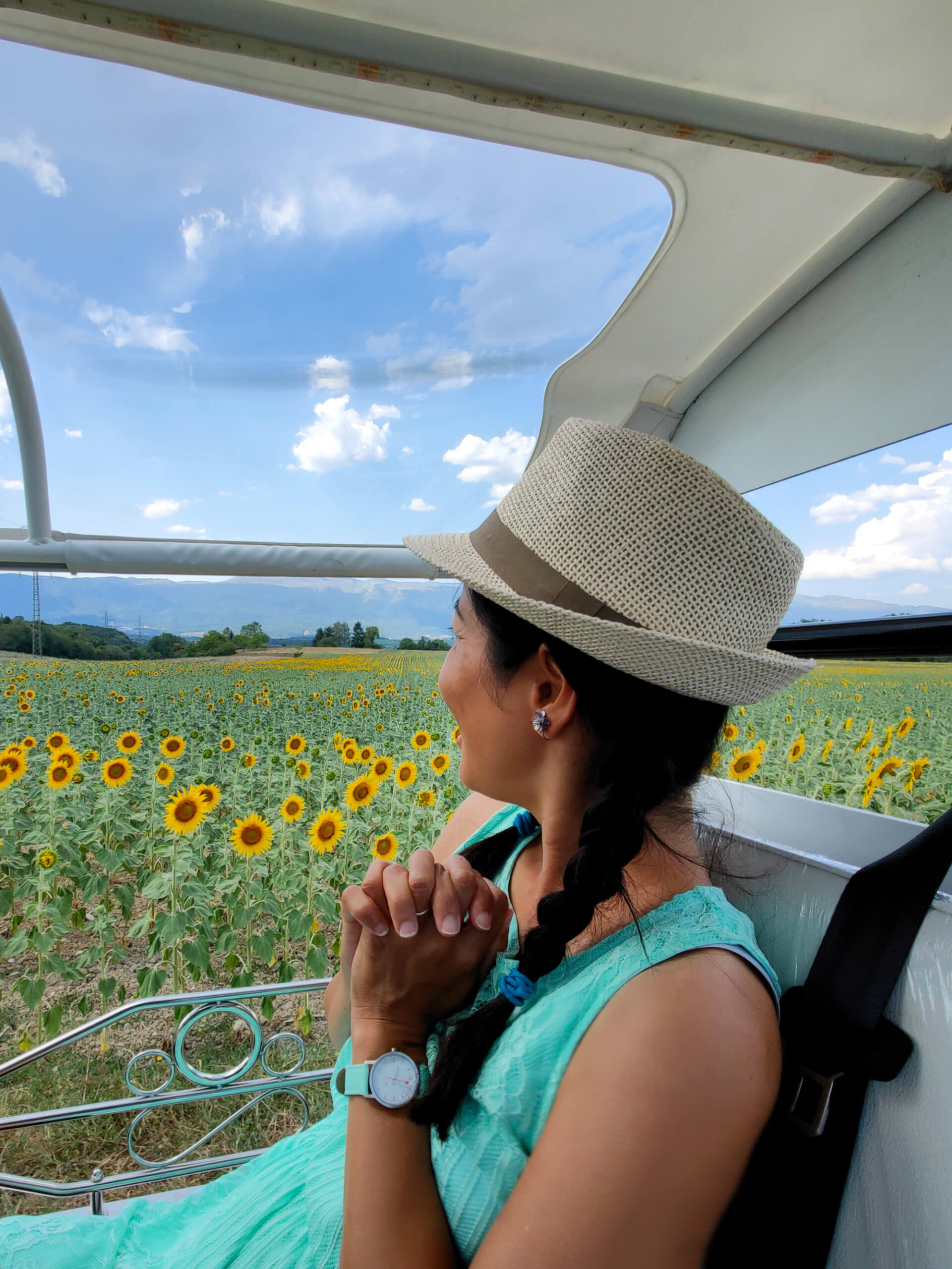 Resto Tuk Tuk Geneva - Sunflower Fields