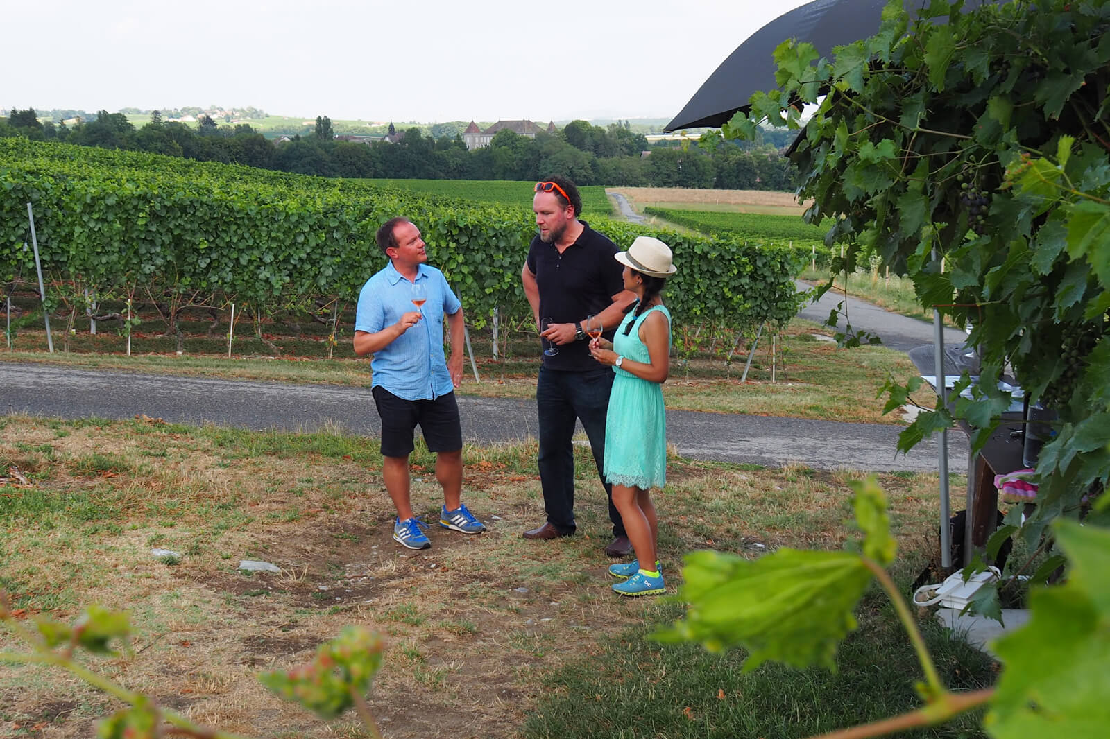 Stéphane Gros Vineyard - Winetasting