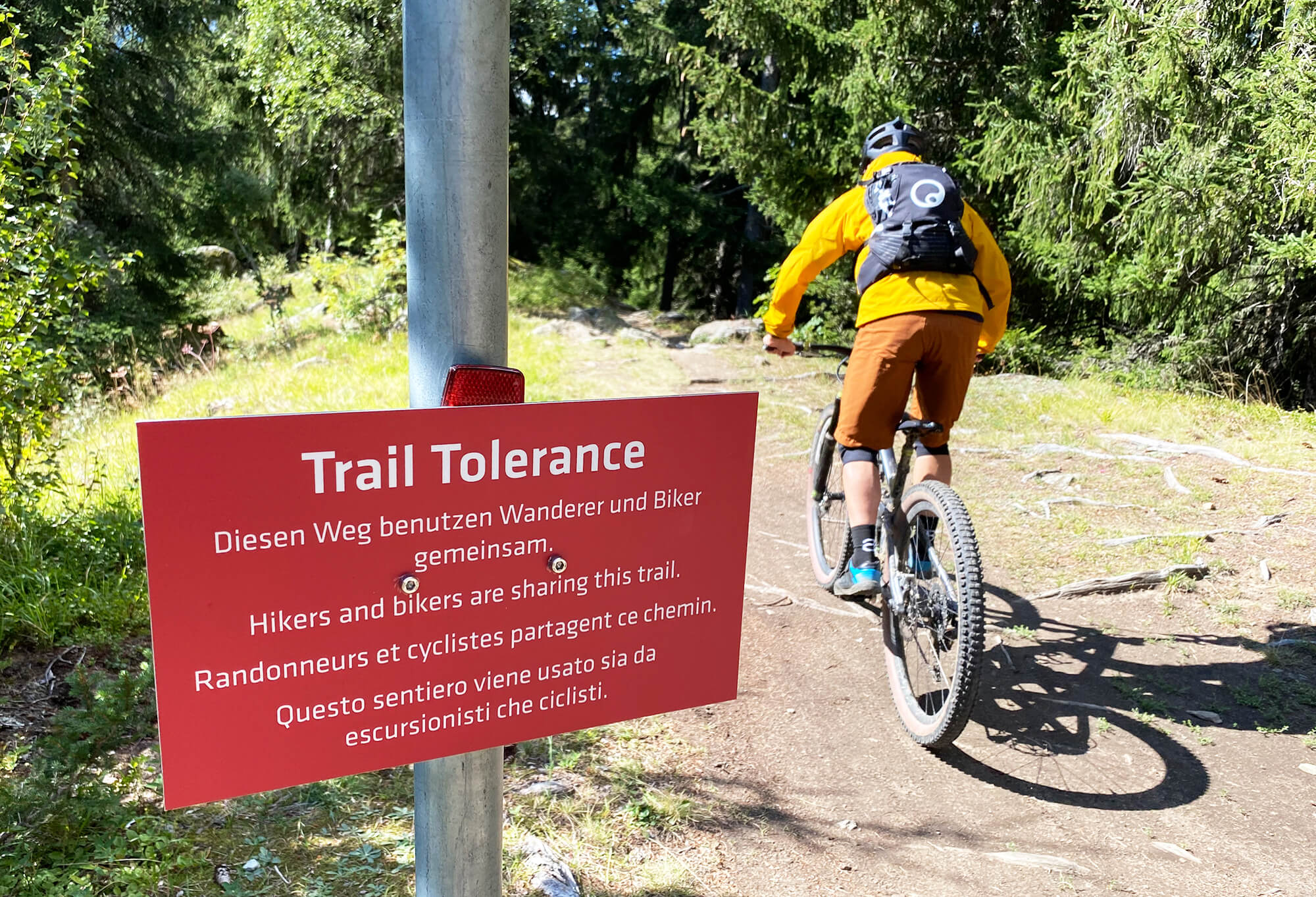 Stoneman Glaciara Mountain Bike Tour in Aletsch Arena