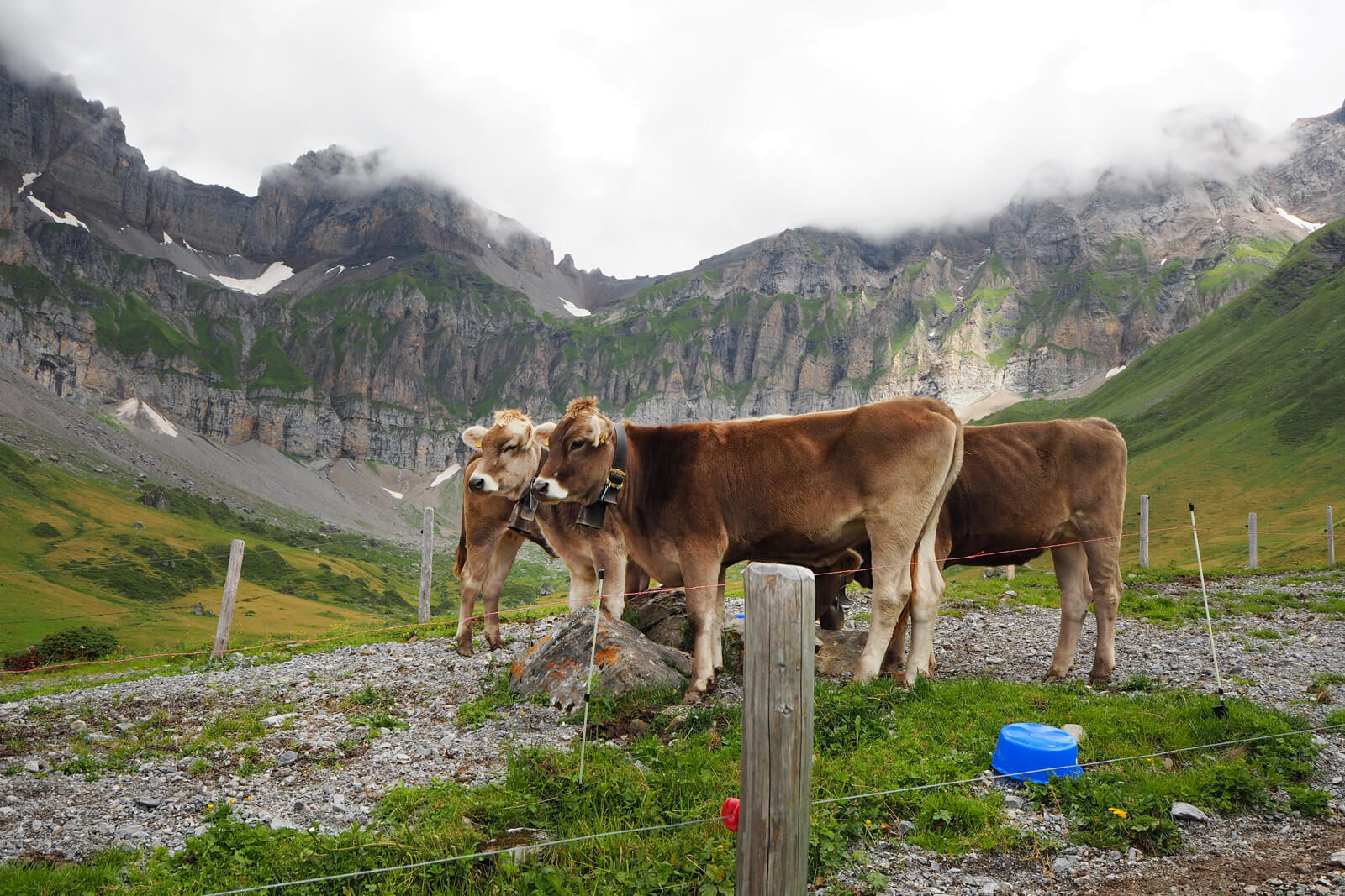 Blackenalp Engelberg