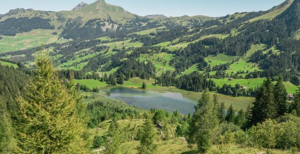 Lake Lauenen in the Bernese Alps (Lauenensee)