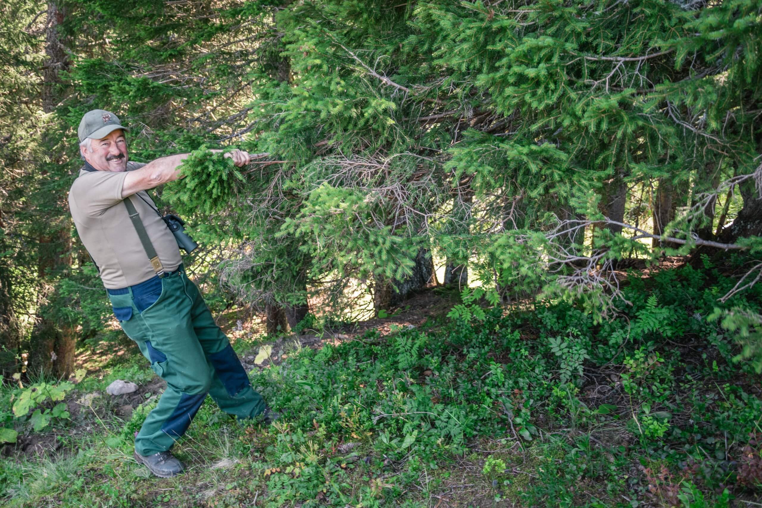 Mushroom Picking at Lake Lauenen in the Bernese Alps (Lauenensee)