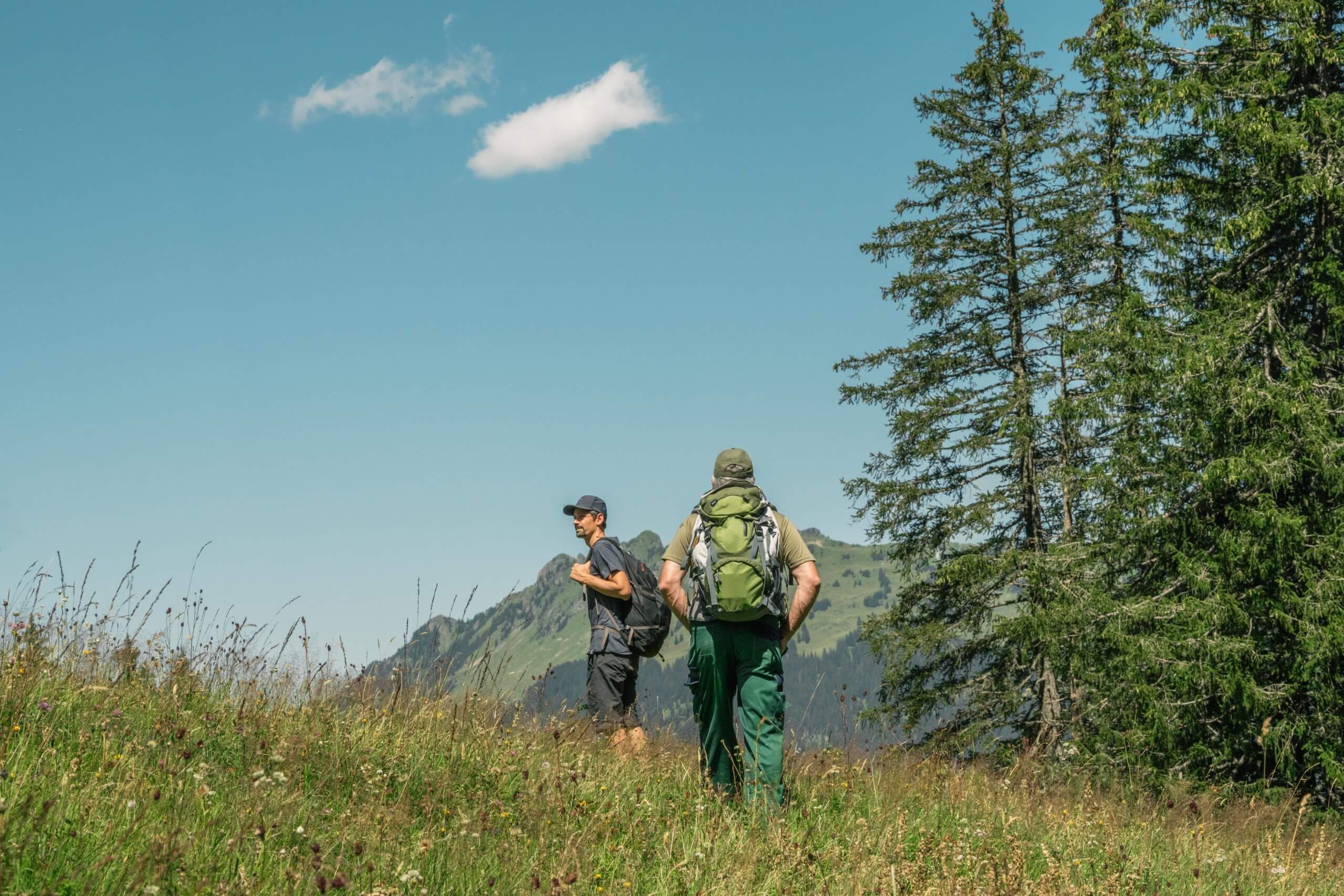 Mushroom Picking at Lake Lauenen in the Bernese Alps (Lauenensee)