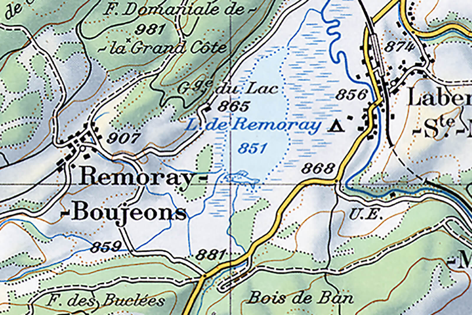 Swiss Topography Map with Fish (1980)