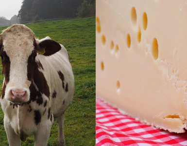 Emmentaler AOP Cheese