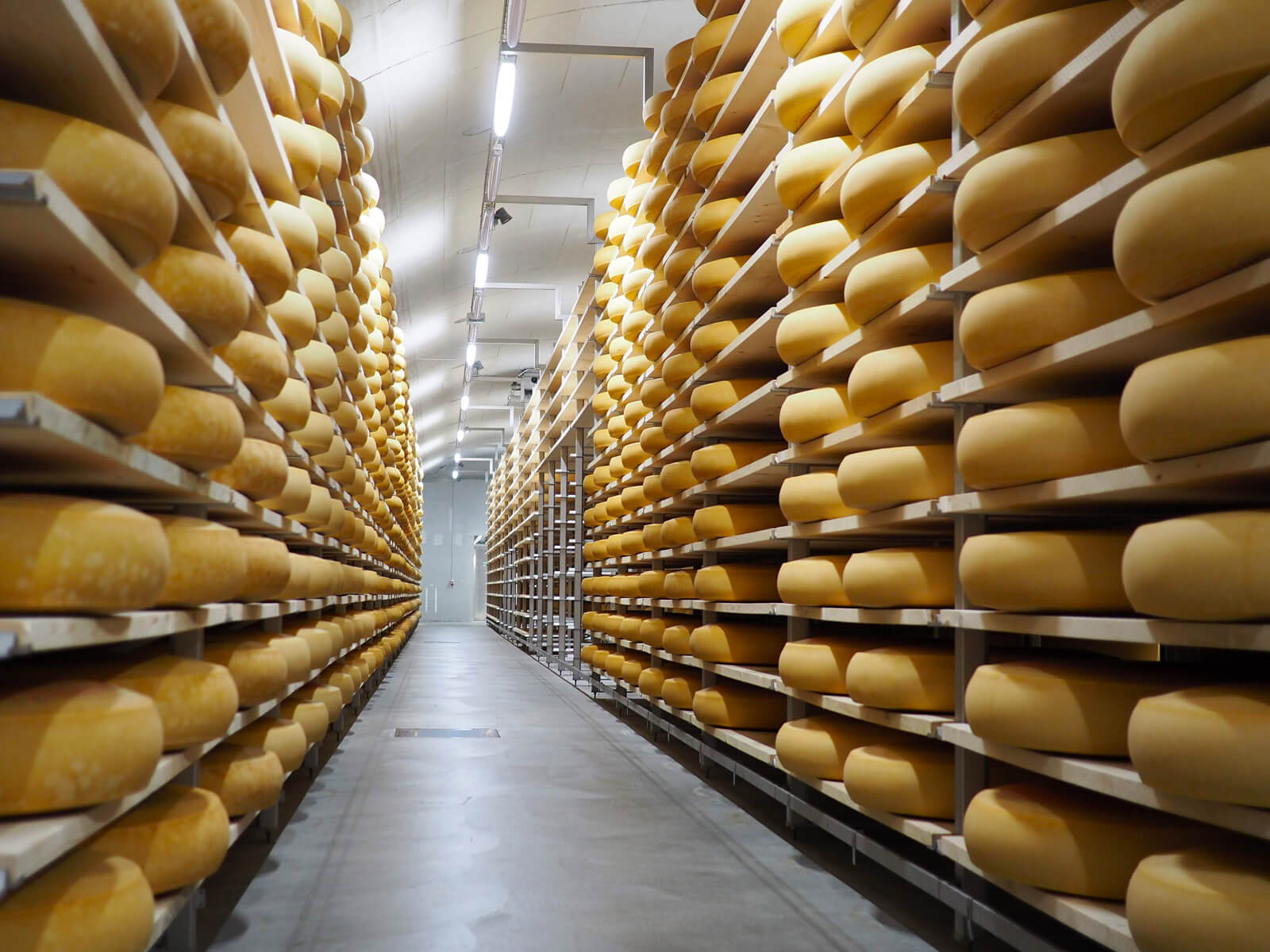 Cheese in Switzerland - Emmental Cheese Factory