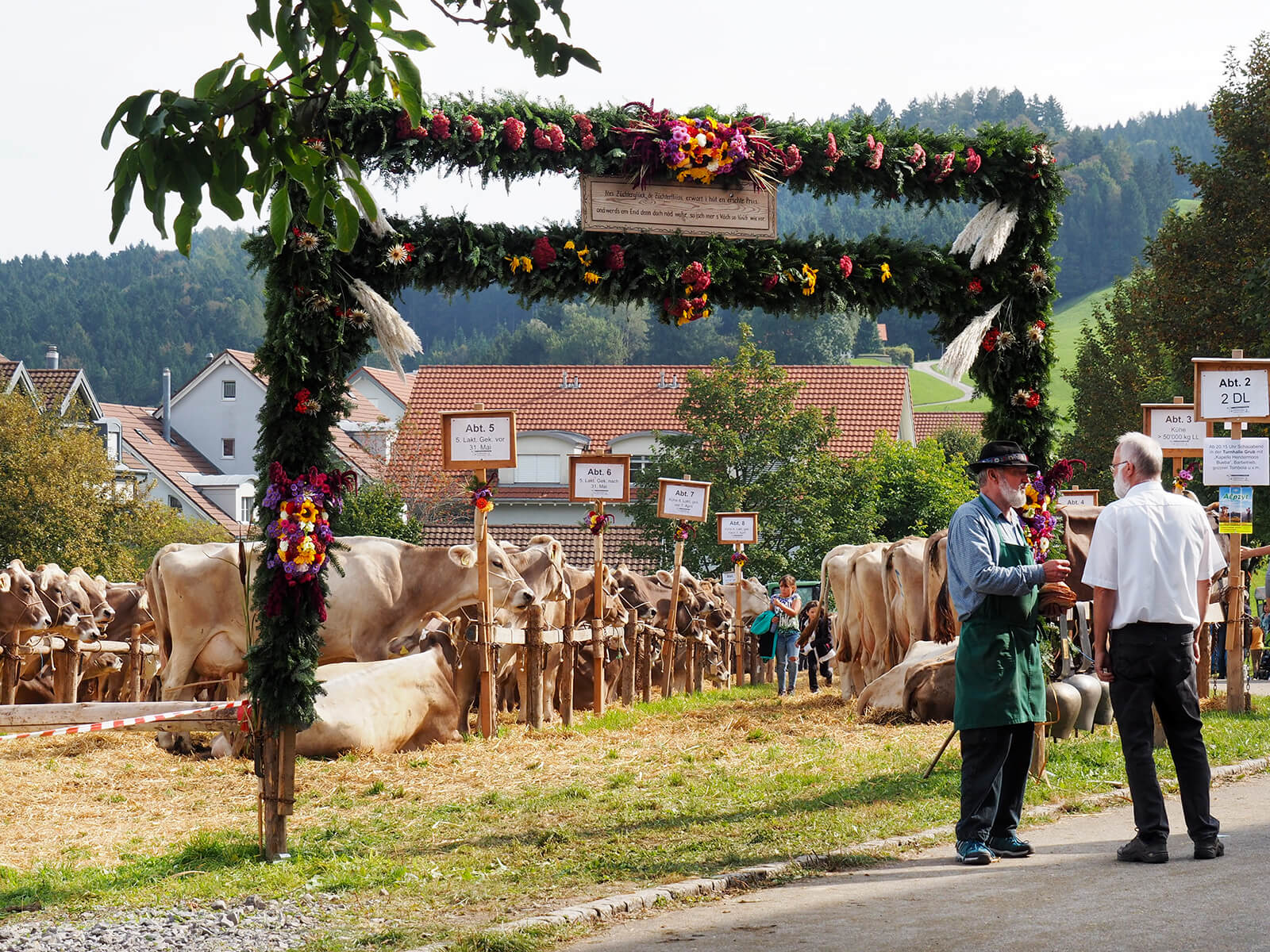 Cattle Show in Heiden, Appenzell Ausserrhoden