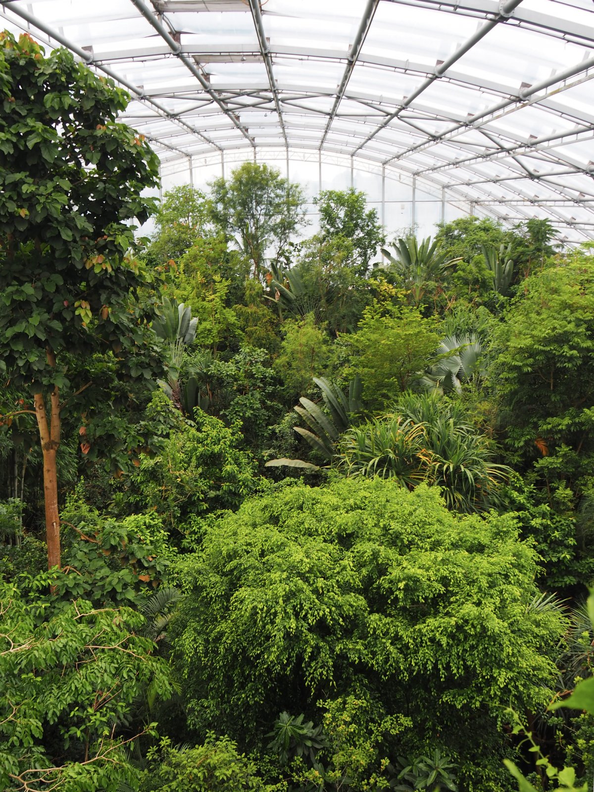 Winter in Zurich - Masoala Rainforest at Zoo Zurich