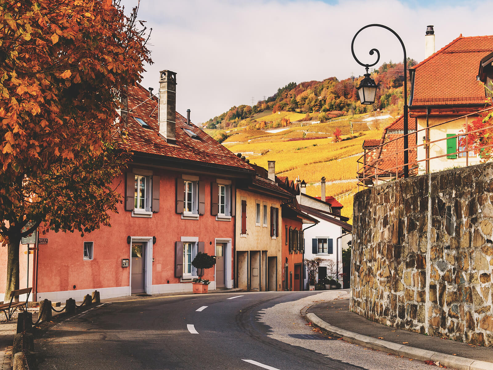 Saint-Saphorin - Medieval Town in Lavaux, Switzerland