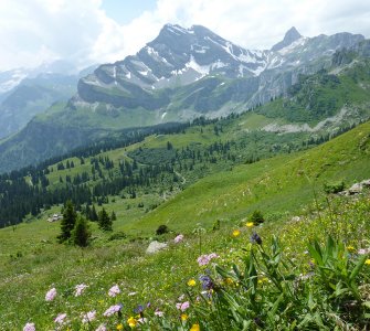 Hiking in Braunwald during Summer