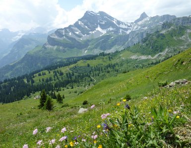 Hiking in Braunwald during Summer