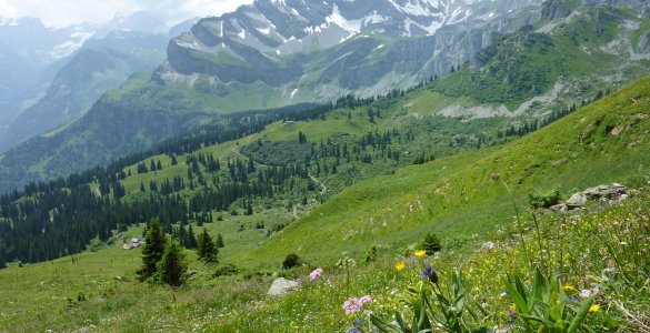 Hiking in Braunwald during Summer