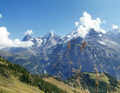 Hike in Mürren - Mountain View Trail in Mürren