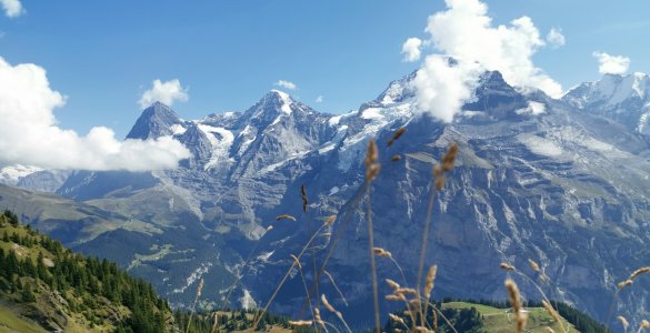 Hike in Mürren - Mountain View Trail in Mürren