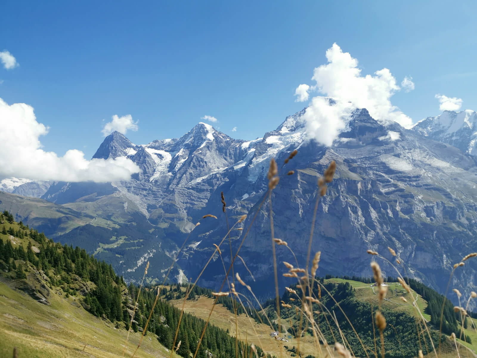 Hike in Mürren - Mountain View Trail in Mürren