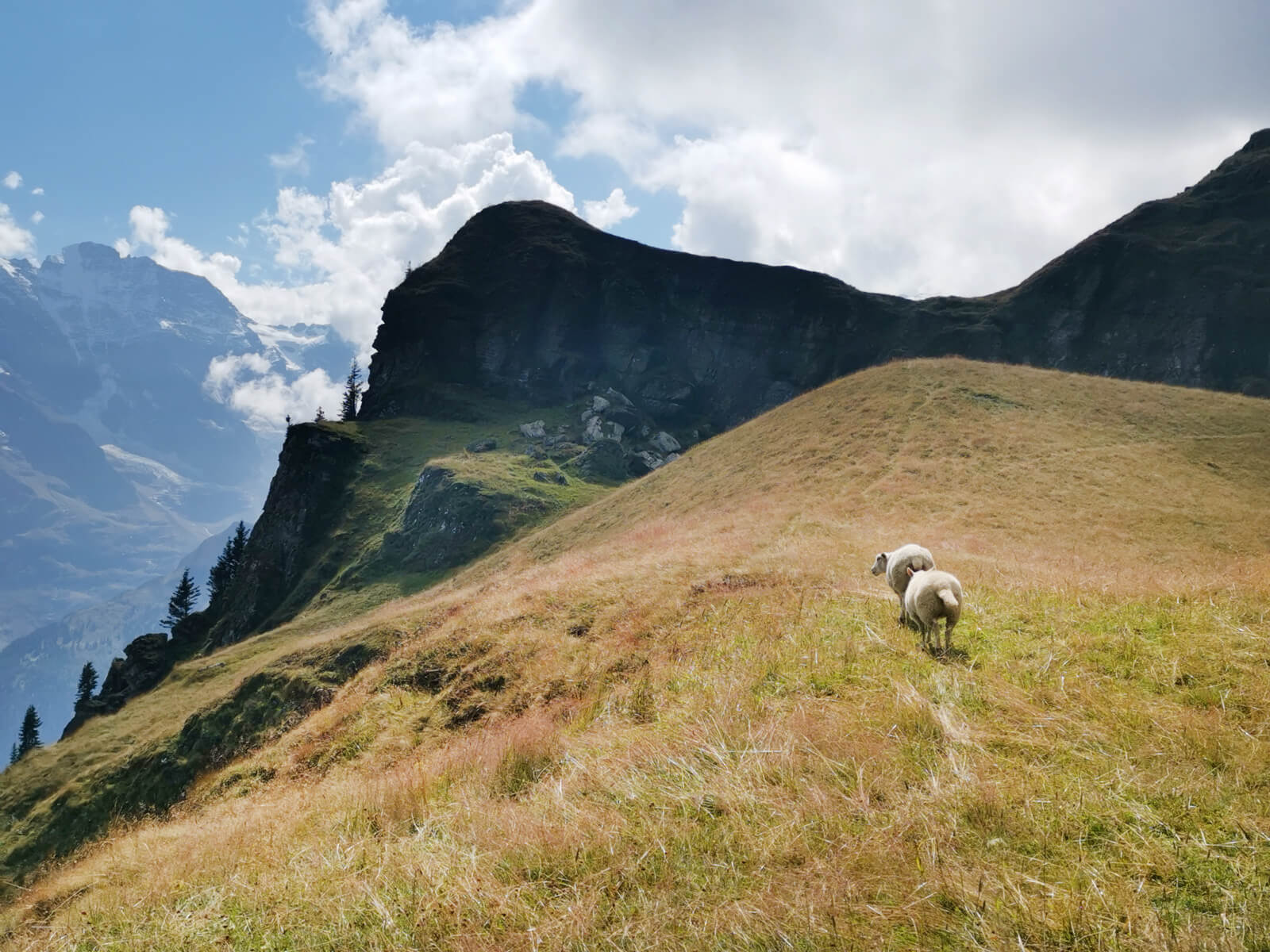 Hike in Mürren - Mountain View Trail in Mürren