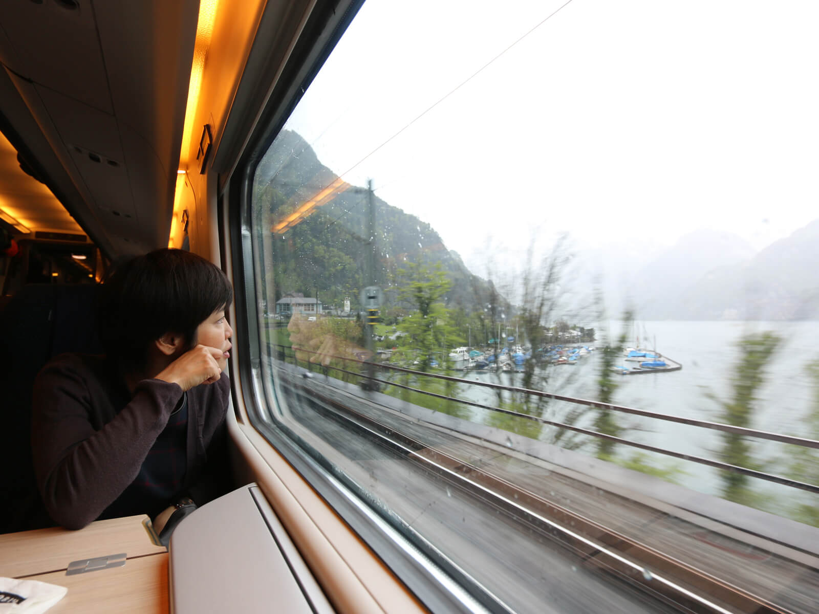 Train Connection to Ticino