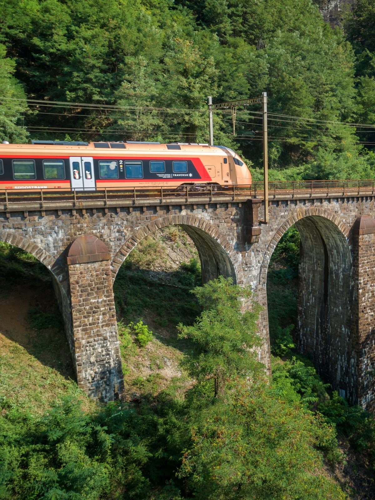 Treno Gottardo Train Line crossing Viaduct