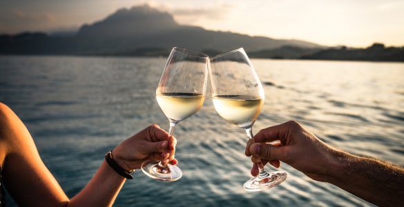Wine and Dine Cruise on Lake Lucerne
