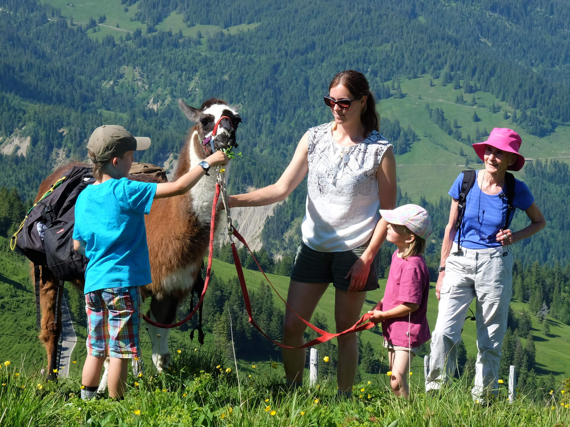 Llama Trekking in Giswil (Copyright Roland Baumgartner/swisstravelcenter.ch)
