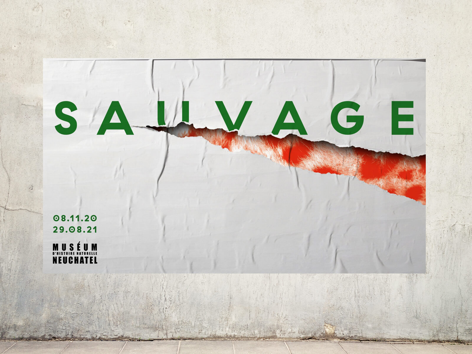 Sauvage Exhibit Natural History Museum Neuchatel